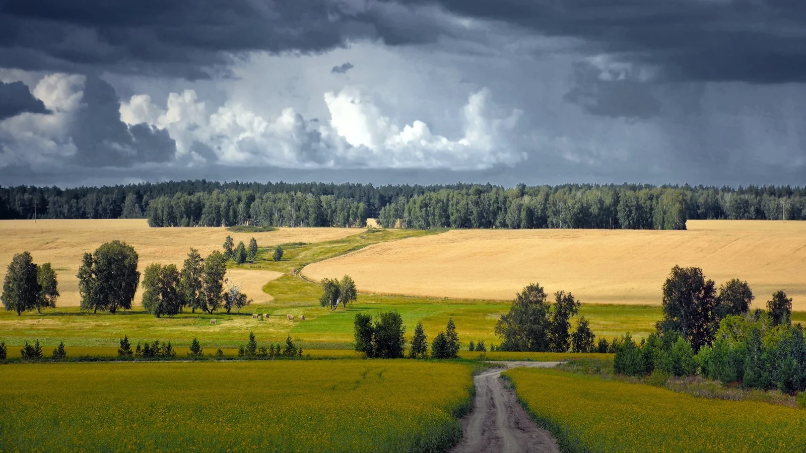 Пейзаж Курганской области